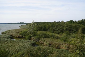 Fototapeta na wymiar Ufer des Hemmelsdorfer Sees mit dem Abfluss der Aalbeek
