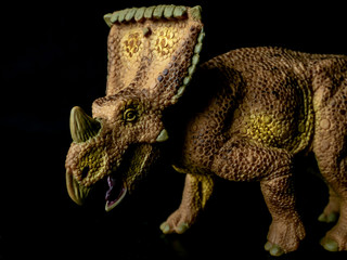 Naklejka premium Vagaceratops Triceratops Dinosaur on black background
