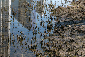Beijing building reflection in water