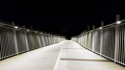 Illuminated pathway