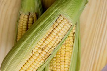 Closeup of raw corn cobs with straw over wood