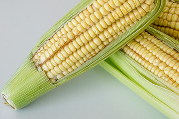 Closeup of raw corn cobs with straw on white background