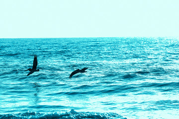 Fototapeta premium Wilmington, North Carolina,USA,September,2019,Wrightsville Beach North Carolina