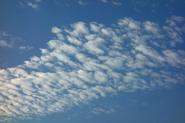 午後の晴天の秋空に澄み渡る雲海