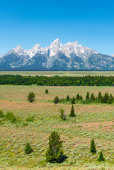 Vertical photograph of the granite peaks of the Grand Tetons on a bright summer day with a pine tree forest in the foreground, Grand Teton national park, Wyoming, USA.