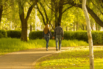 couple in love in park, smiling and friendly, walking, kissing