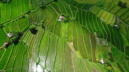 Beautiful aerial view of rice terraces, Abang village, East Bali.