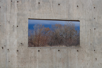 Trees visible through viewing blind window