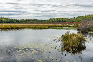 Fall Sky breezy pond landscape