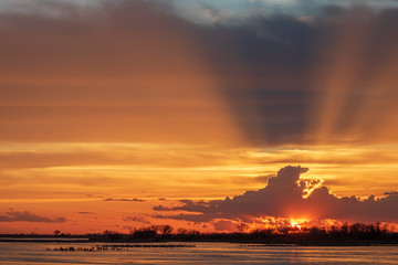 Obraz premium Silhouetted sandhill cranes against a colorful sunset
