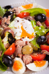 Nicoise salad with eggs and tuna