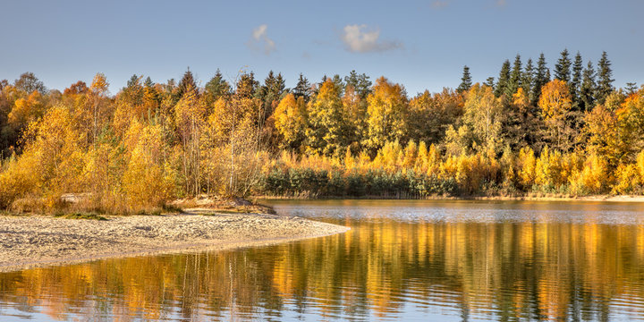 Autumn colored deciduous trees around lake