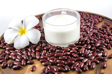 Red lentils in a tray