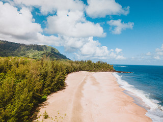 Paradise view and vibes of a remote beach on the Island of Kauai. Blue skies and white cotton clouds. Green lush trees next to mountains and white sand beach. Aqua blue water with waves crashing. - 289611559