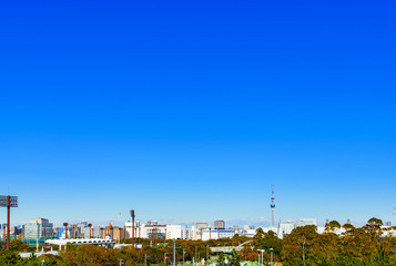 都市風景：秋晴れの青空を背景に東京の町並みと東京スカイツリーをハイアングルで望む