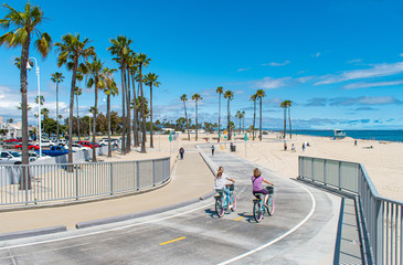 Beach Cruisers