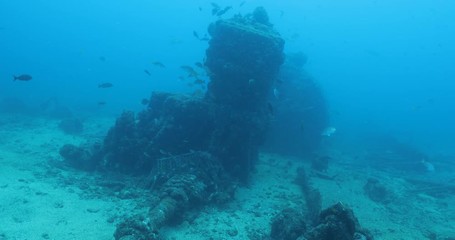 Mazatlan Shipwreck, reefs of Sea of Cortez, Pacific ocean. Isla Cerralvo, Baja California Sur, Mexico.