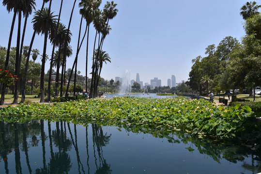 View Of Los Angeles Skyline From Echo Park