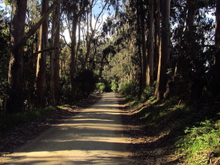 Obraz premium rural road in Chanco, Chili
