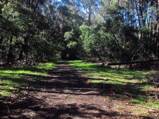 footpath of Federico Albert's natural reserve park in Chili.