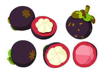 Mangosteen balls and Mangosteen half ball To eat Beautiful color on white background  illustration vector