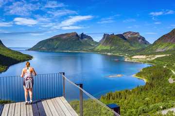 female tourist stands at a viewpoint during the clear sky, Bergsbotn utsiktsplattform Is a viewpoint that overlooks the beautiful bay and mountains Located in northern Norway.