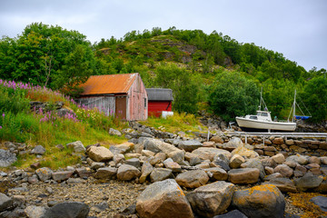 Red cottage with summer flower fields by the sea Is home to fishermen in the Lofoten Islands in northern Norway.