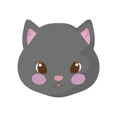 head of cute cat on white background