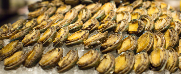 Abalone seafood in rows on ice with bokeh background. Fresh shellfish seafood arrangement at fine dining restaurant with gourmet food. Rare ingredients for special meal by culinary chef during dinner.