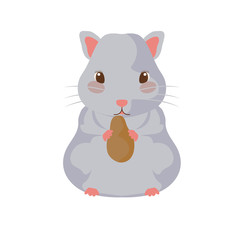 small hamster gray with white background