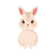 cute and adorable bunny with white background