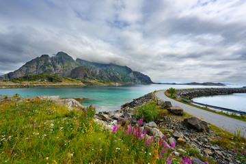 Viewpoint close to Henningsvaer, mountains, sea, rocks and flowers during the cloudy season in summer at the Lofoten Islands in Henningsvær, northern Norway