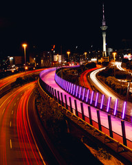Auckland pink road