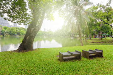 View of the garden bench for relaxation