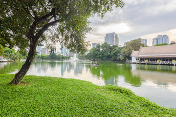 Obraz premium View of a city park surrounded by nature