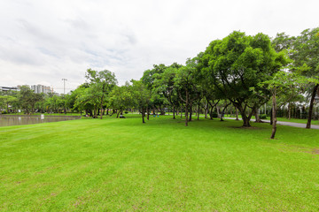 View of a city park surrounded by nature