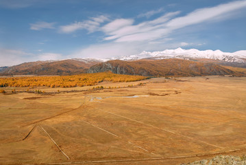 mountains steppe forest golden snow autumn