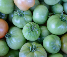 Green tomato.