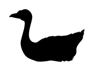 Vector silhouette of floating goose. Motive of farm, wildlife, animals, nature