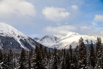 Beautiful Alaskan winter.