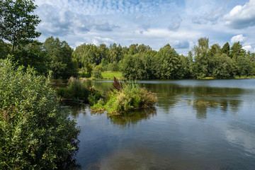 A small lake framed by large green trees and bushes.