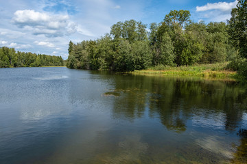 Fototapeta na wymiar A small lake framed by large green trees and bushes.