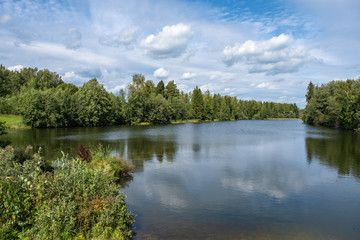 A small lake framed by large green trees and bushes.