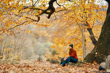 Naklejka na ściany i meble young woman in autumn park