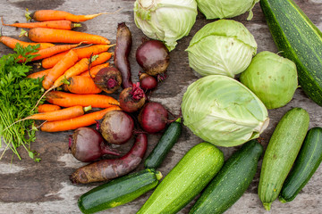 New crop of fresh vegetables, still life
