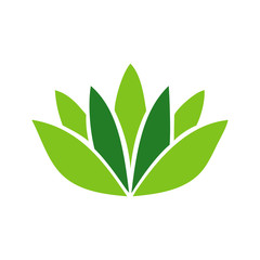 beauty care lotus flower logo vector template design