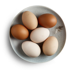plate of eggs