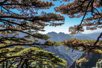UNESCO World Heritage Site Natural beautiful landscape of Huangshan mountain scenery ( Yellow mountain ) in Anhui CHINA, It is a best of China major tourist destination.