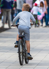Boy rides a bicycle in the park