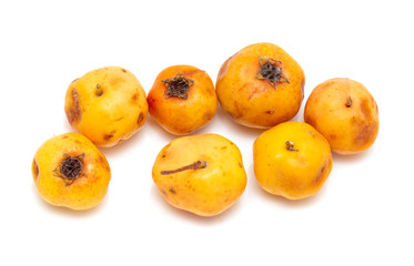 Yellow hawthorn isolated on a white background